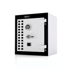 ev tipi zirhli kasaci